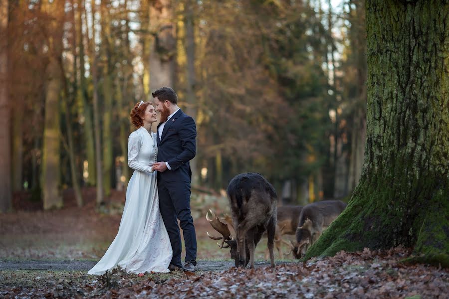 Fotógrafo de casamento Elena Vazhenina (weddingprague). Foto de 22 de janeiro 2019