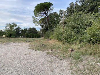 terrain à Bollene (84)