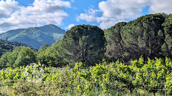 terrain à Sorède (66)