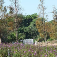 富田花園農場