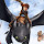 How to Train Your Dragon 3 Wallpapers