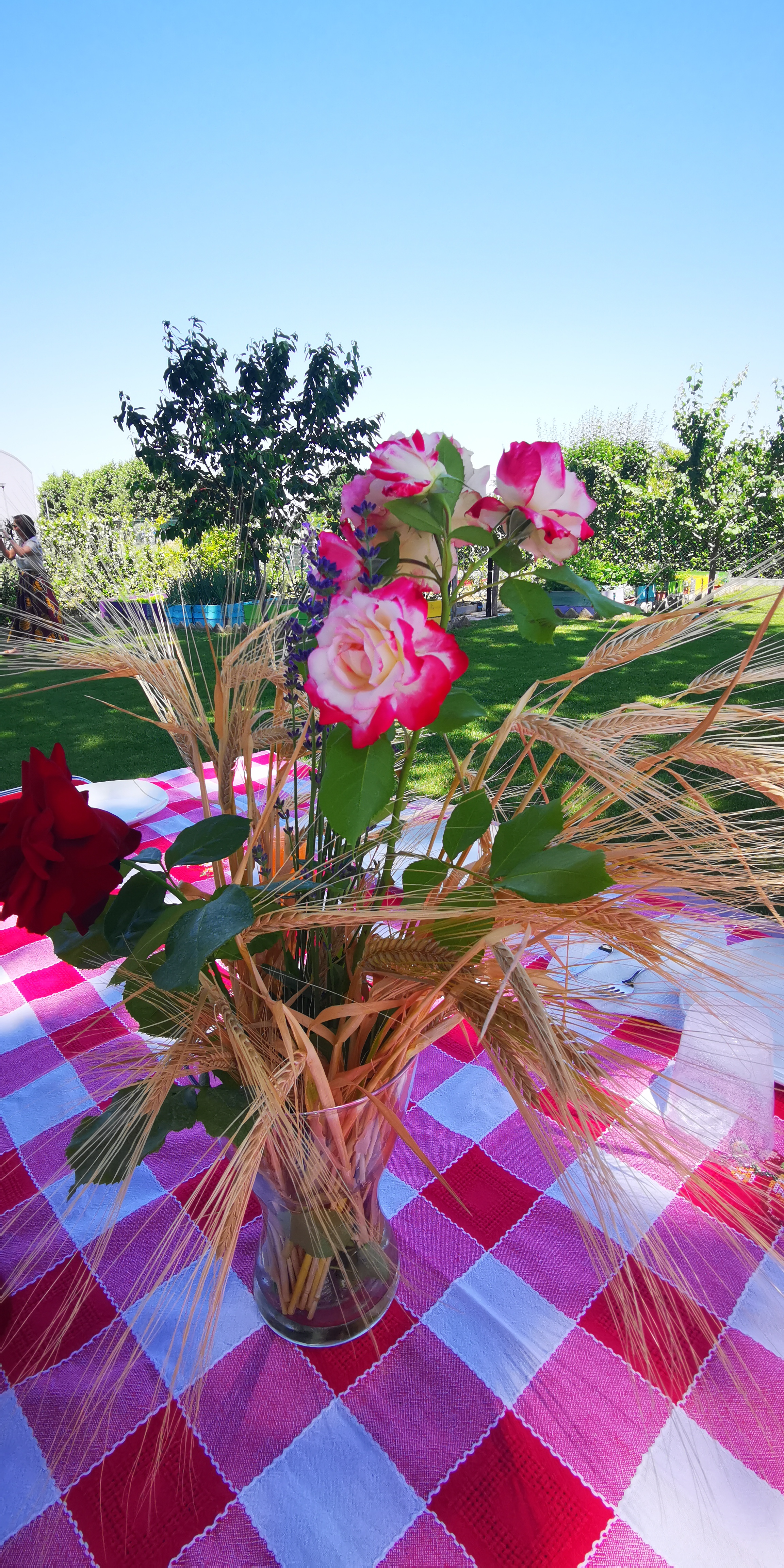 quadri da pic nic di Claudiator