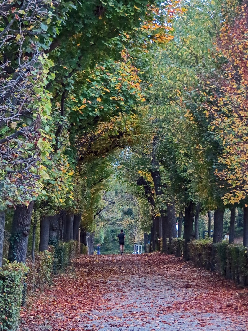 l'allée des Alyscamps di alfonso gagliardi