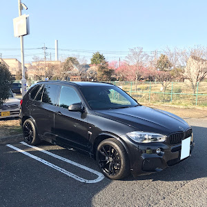 X5 F15