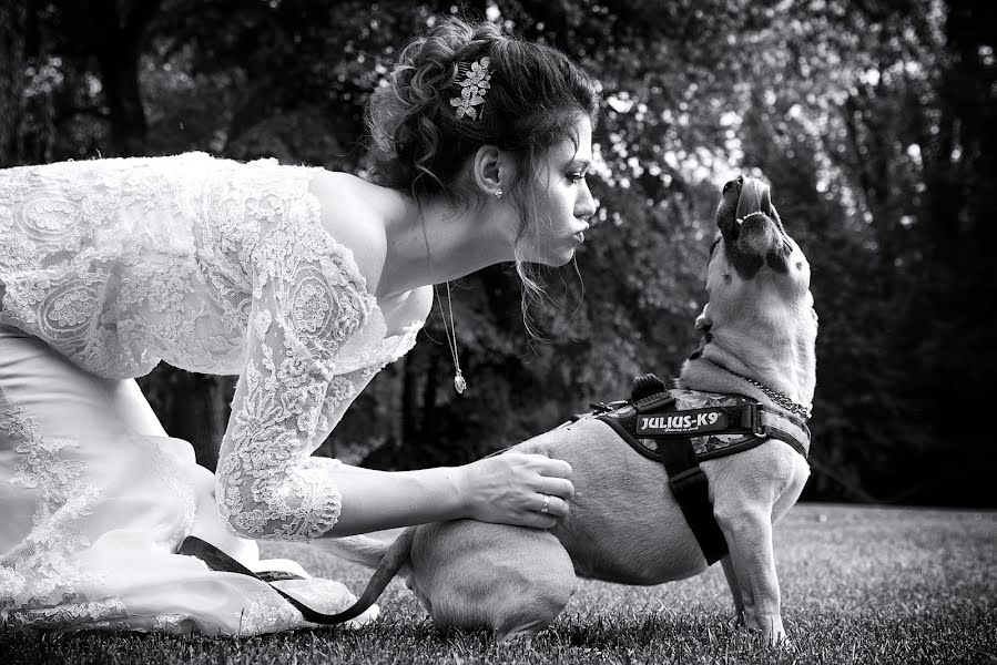 Fotografo di matrimoni Melinda Guerini (temesi). Foto del 23 novembre 2016