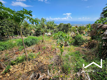 terrain à batir à Saint-Denis (974)