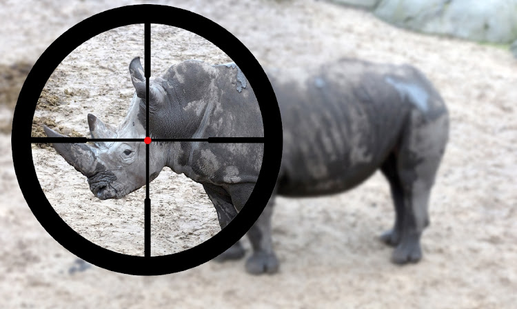 An alleged rhino poaching kingpin was nabbed with cash and weapons. Stock photo.