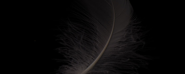 Feather Wallpaper HD Custom New Tab marquee promo image