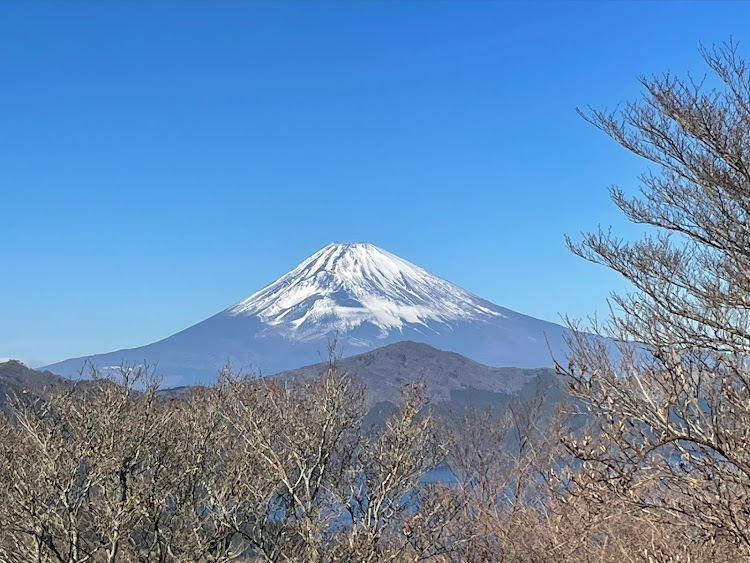 の投稿画像5枚目