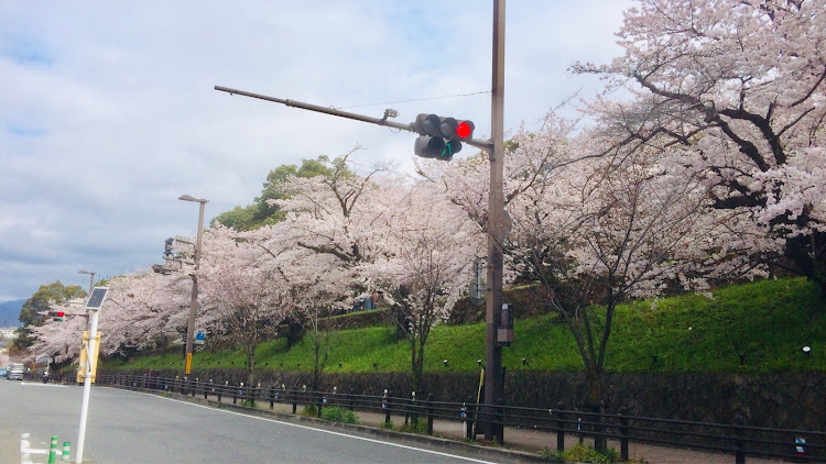 の投稿画像9枚目