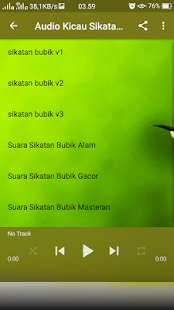 Kicau Sikatan Bubik Masteran - náhled
