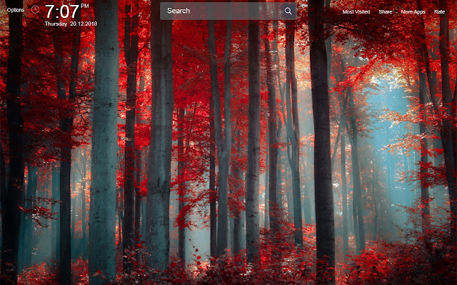 Forest Wallpapers Theme New Tab