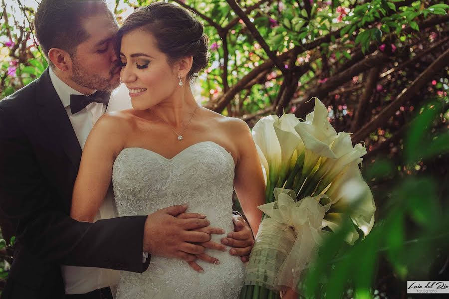 Nhiếp ảnh gia ảnh cưới Luiz Del Rio (luizdelrio). Ảnh của 3 tháng 1 2017