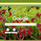 Item logo image for Kangaroo Paw