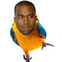 Kanye Parrot