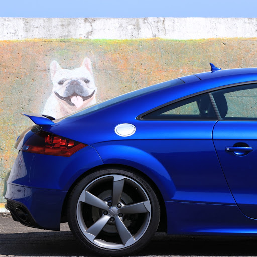 しろくろのプロフィール画像