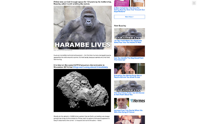 Harambe Lives chrome extension