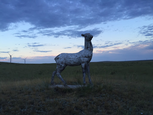 Безрогий Олень