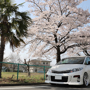 エスティマ ACR50W
