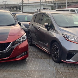 リーフ ZE1
