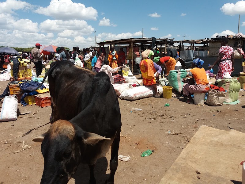 ENKEWA Y SU RELACION CON EL PUEBLO MASAI - Un poquito de Kenia: Lagos Naivasha y Nakuru, Samburu y Masai Mara (8)