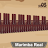 Marimba, Xylophone, Vibraphone icon