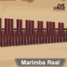 Marimba, Xylophone, Vibraphone icon