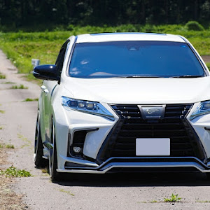 ハリアー ZSU60W