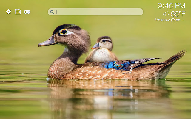 Ducks HD new free tab theme