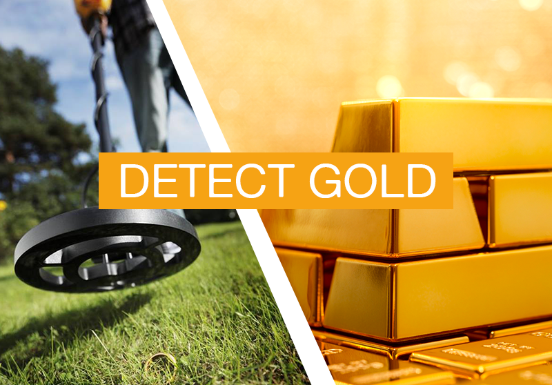 Gold Metal Detector Screen 3