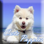 Cover Image of Download Wallpapers With Puppies - Puppy Wallpapers 1.0 APK