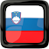 Radio Online Slovenia icon