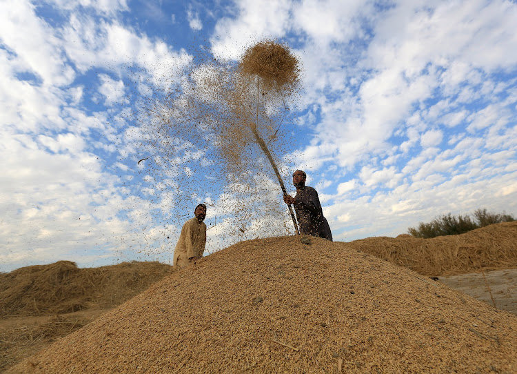 The transformation in a corner of Nangarhar province, in eastern Afghanistan, has been brought about by an irrigation project, mostly financed by Afghans abroad, but built by locals. File photo.