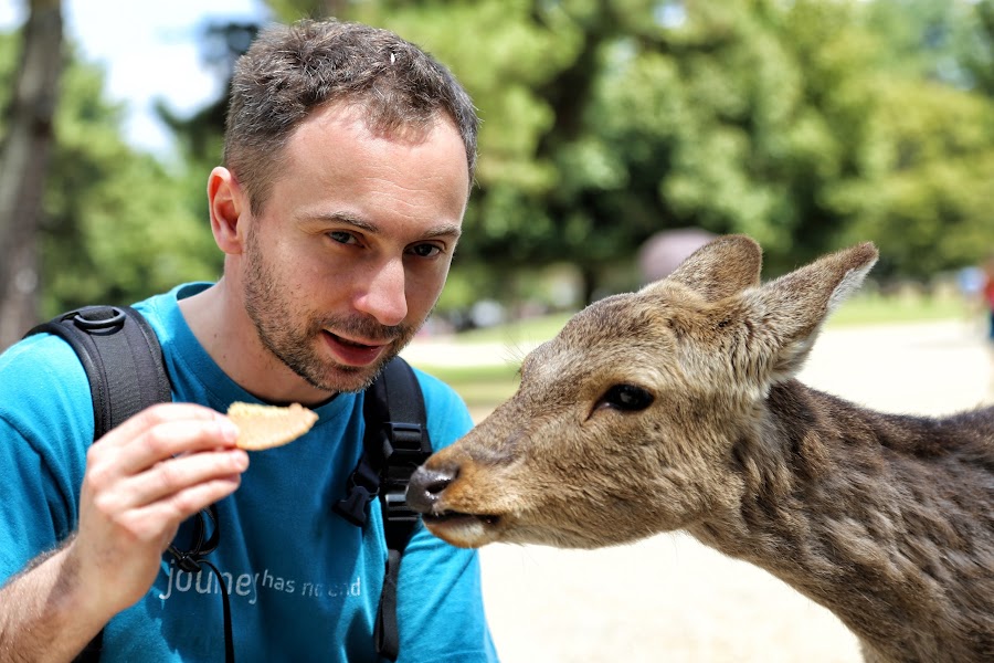 Nara, Jelonki