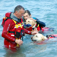 Scuola di salvamento a quattro zampe di 