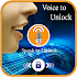 Voice to Unlock Screen1.0