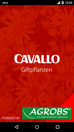 CAVALLO Giftpflanzenbestimmung