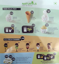 Natural Ice Cream menu 1