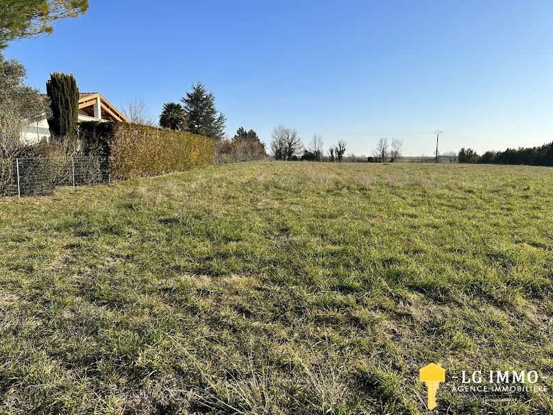 Vente terrain  2430 m² à Mortagne-sur-Gironde (17120), 132 000 €