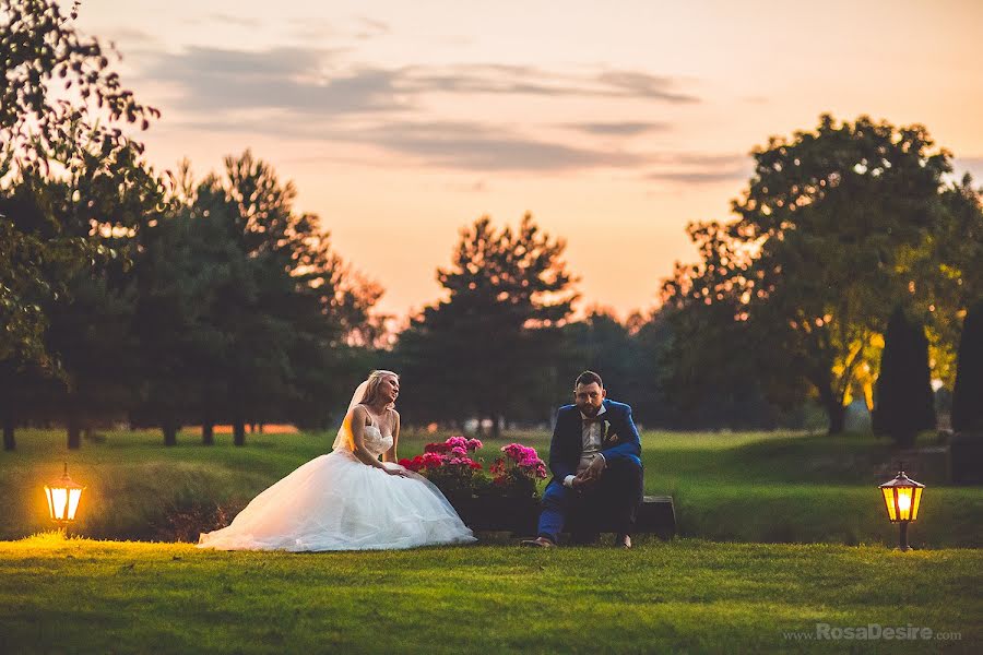 Wedding photographer Izabela Rosa (izabelarosa). Photo of 25 February 2020