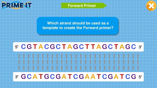 Prime It DNA Game - náhled