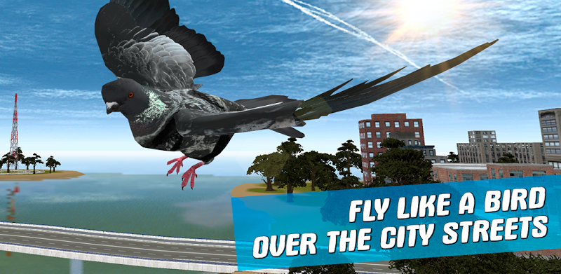 City Bird Pigeon Simulator 3D