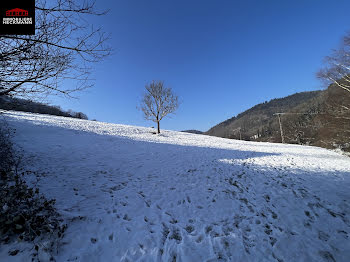 terrain à Villé (67)