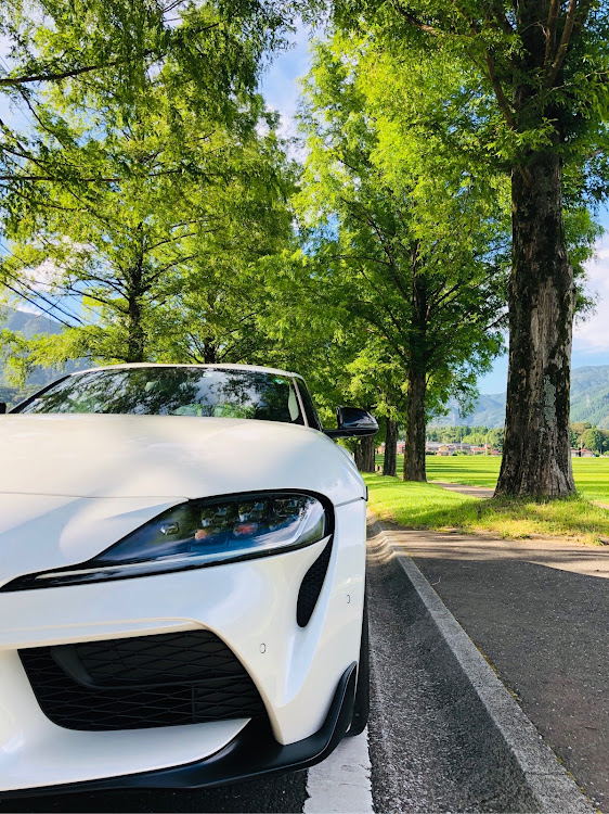 スープラのSUPRA・滋賀・メタセコイア・メタセコイア並木・新緑に関するカスタム事例の投稿画像1枚目