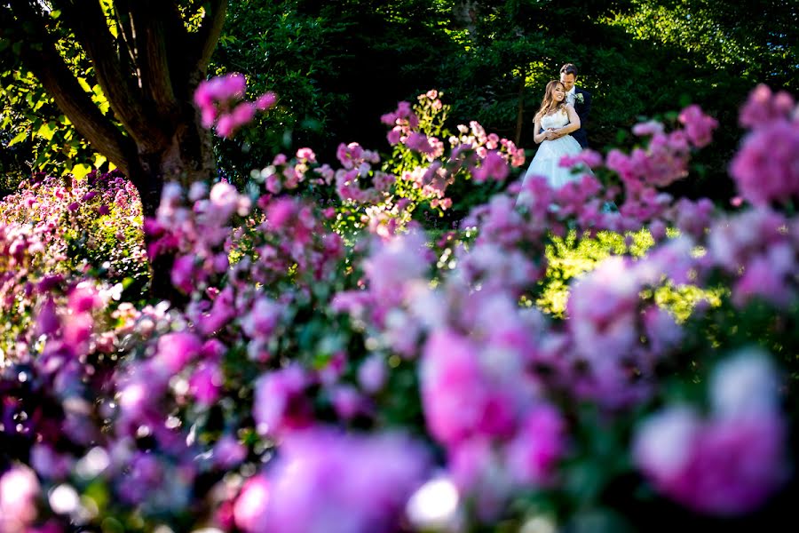 Wedding photographer Andreas Pollok (pollok). Photo of 10 August 2016