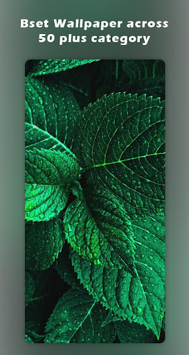 4K Wallpaper - Auto background Changer HD