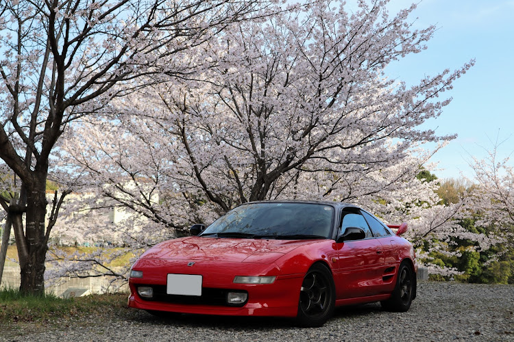 MR2のサクラと愛車・桜・桜とコラボ🌸・ドライブに関するカスタム事例の投稿画像1枚目