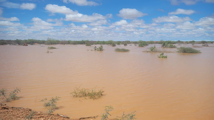 A section of the flooded Garissa - Daadab (A3) Road at Saretho Town.