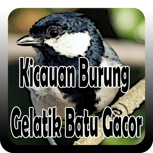 Kicauan Burung Gelatik Batu Gacor 1 0 Apk Download Com Takumidev