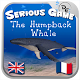 The Humpback Whale Free